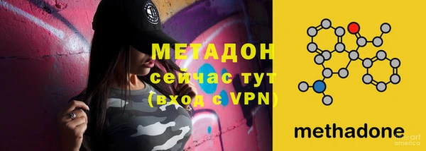 стаф Аркадак
