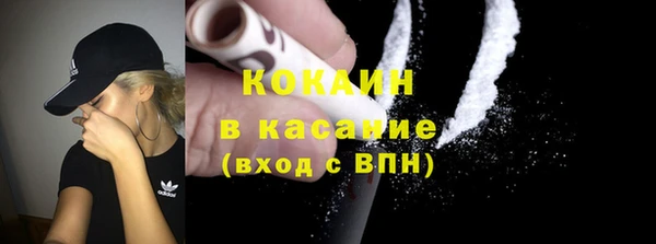 соль ск Алзамай