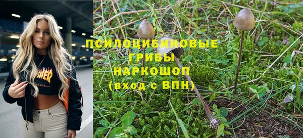 гидропоника Ростов