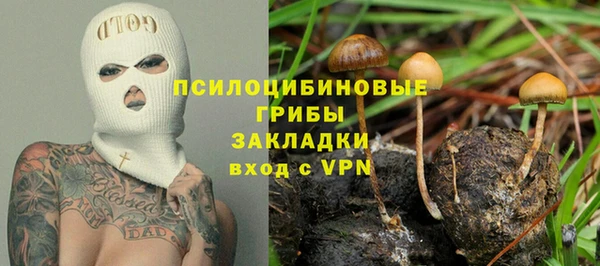 спиды Алексин