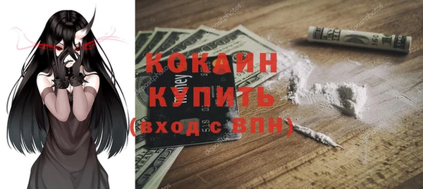 стаф Аркадак