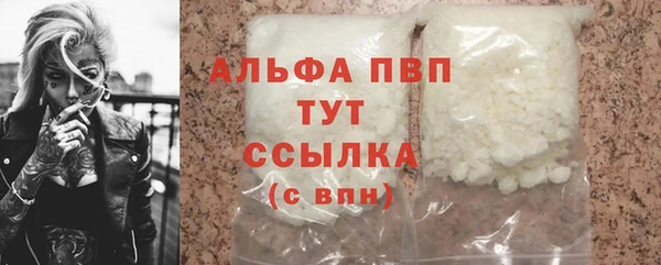 стаф Аркадак