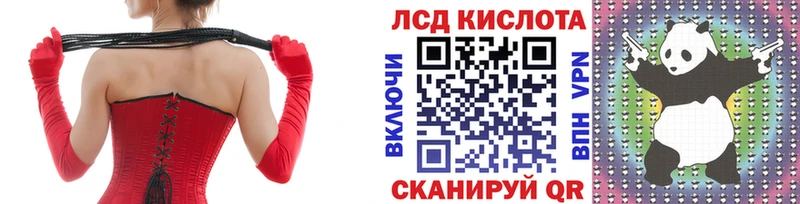 kraken онион Новодвинск Наркотические марки 1500мкг