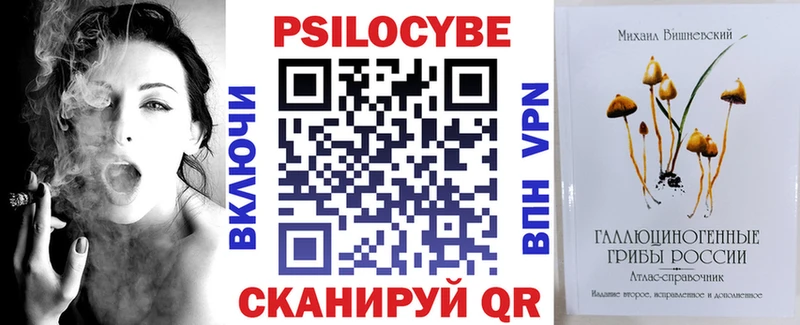 Псилоцибиновые грибы Psilocybine cubensis Новодвинск