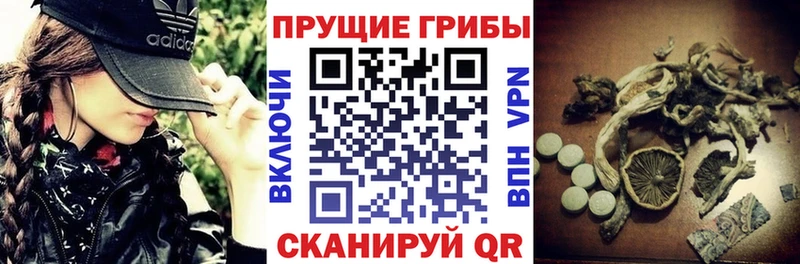 Галлюциногенные грибы мицелий  цена   Новодвинск 