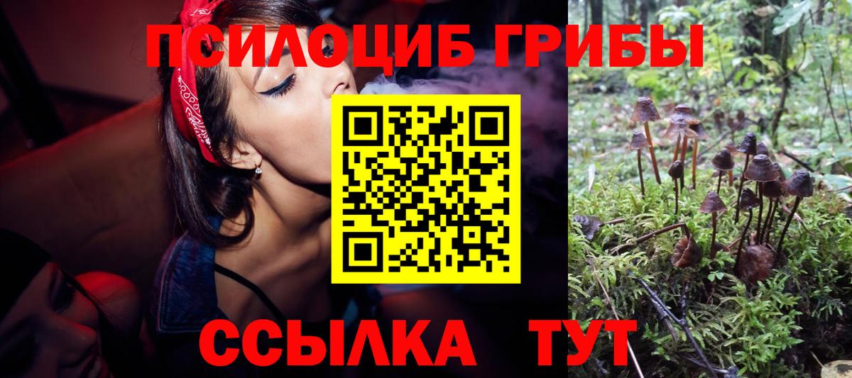 Новодвинск  Псилоцибиновые грибы прущие грибы  Вход с VPN 