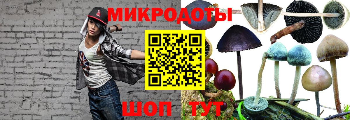 Псилоцибиновые грибы прущие грибы Новодвинск