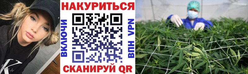 omg онион  Новодвинск  Шишки марихуана THC 21%  где продают  
